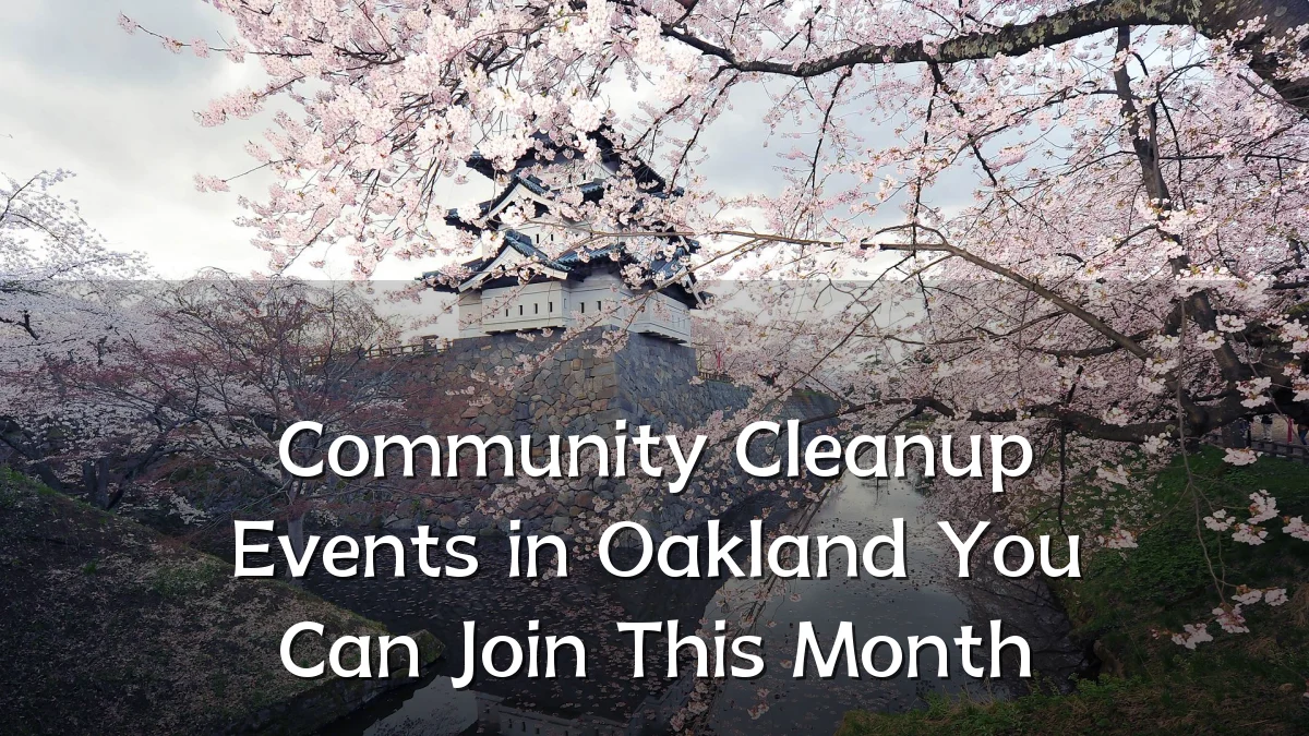 Community Cleanup Events in Oakland You Can Join This Month