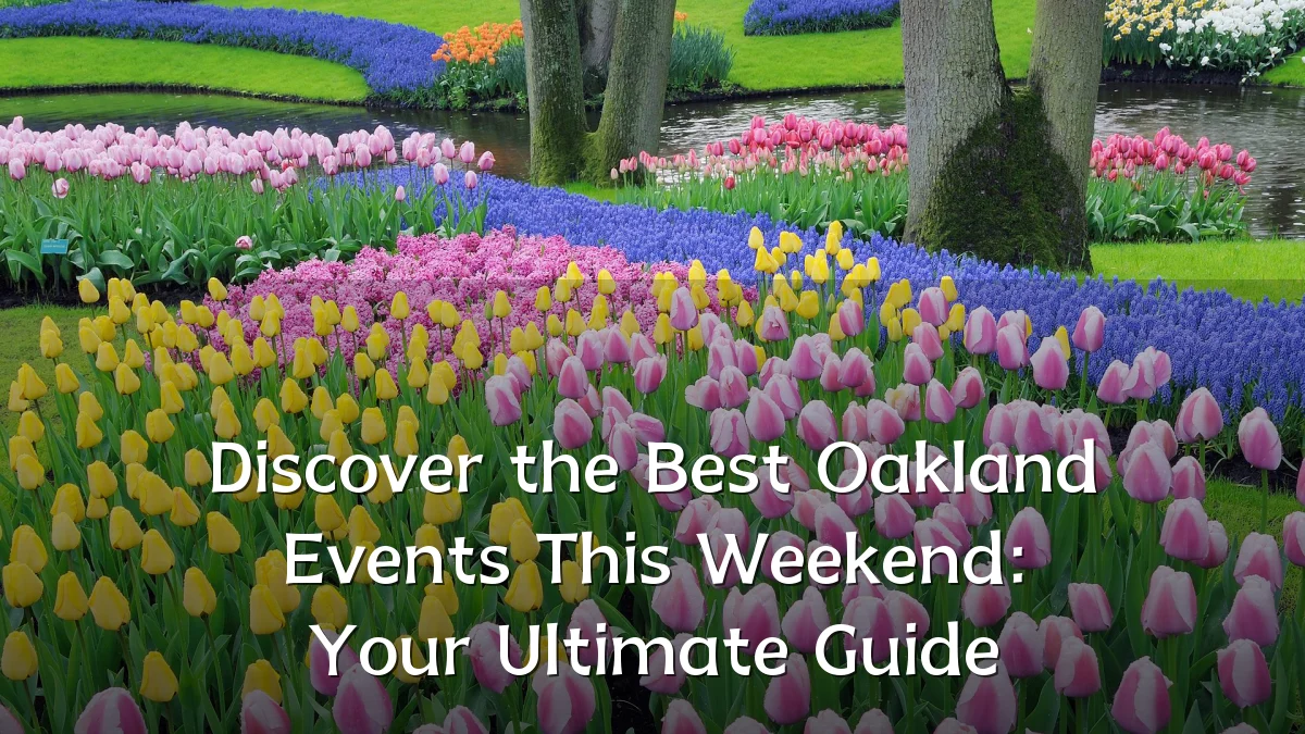 Discover the Best Oakland Events This Weekend: Your Ultimate Guide