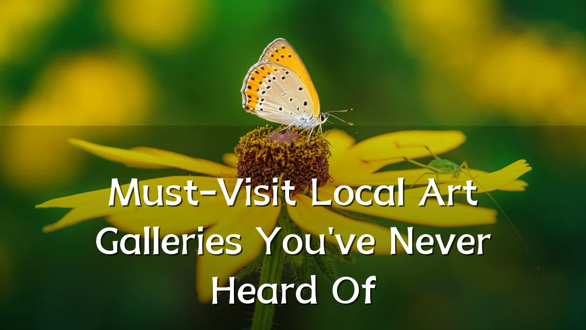 Must-Visit Local Art Galleries You've Never Heard Of