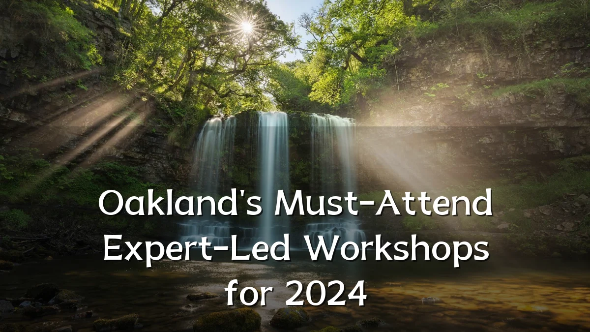 Oakland's Must-Attend Expert-Led Workshops for 2024