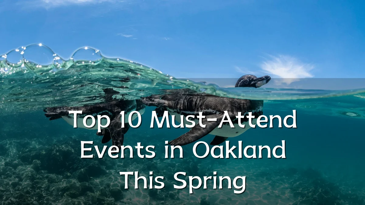 Top 10 Must-Attend Events in Oakland This Spring