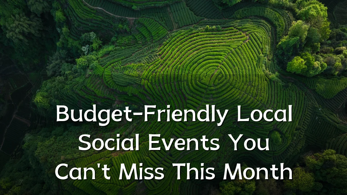 Budget-Friendly Local Social Events You Can't Miss This Month