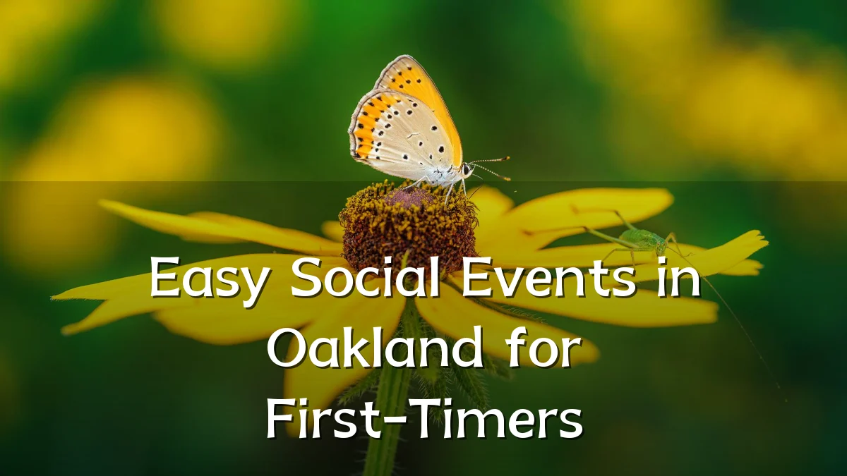 Easy Social Events in Oakland for First-Timers