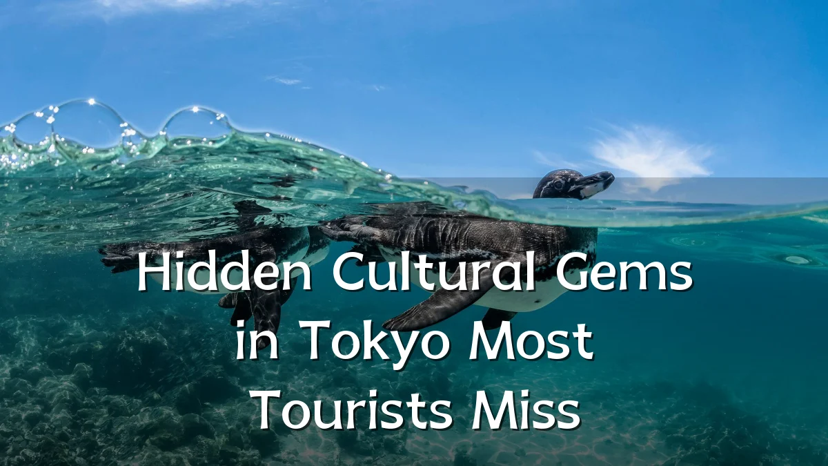 Hidden Cultural Gems in Tokyo Most Tourists Miss
