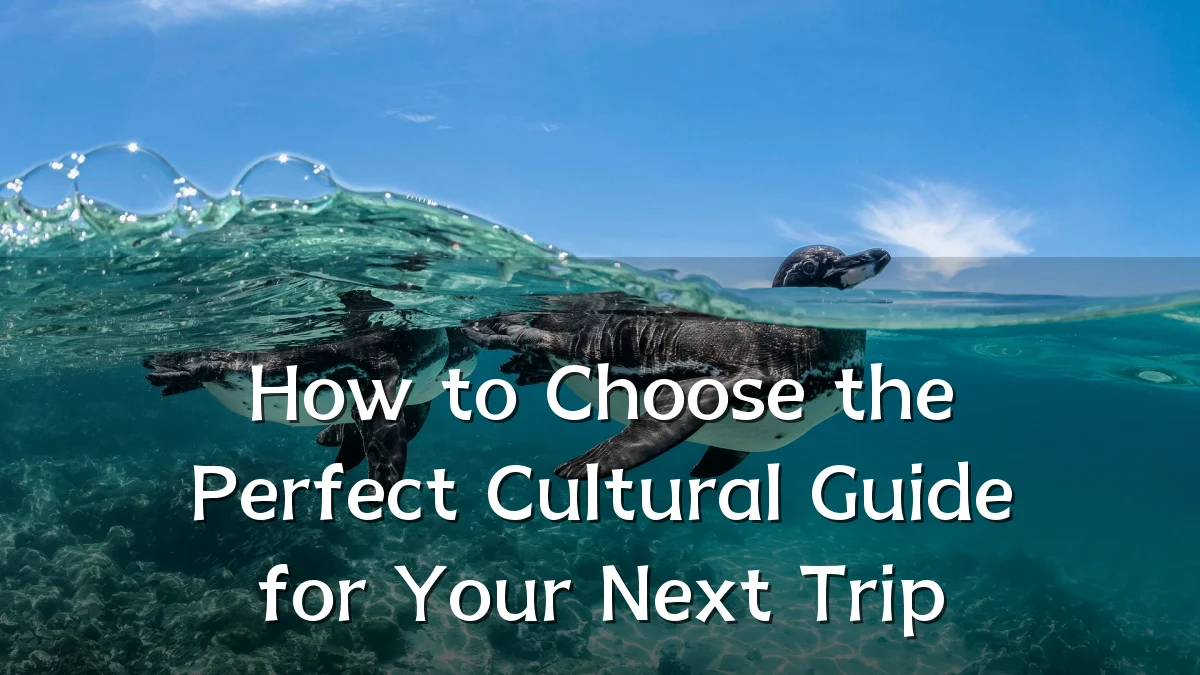 How to Choose the Perfect Cultural Guide for Your Next Trip