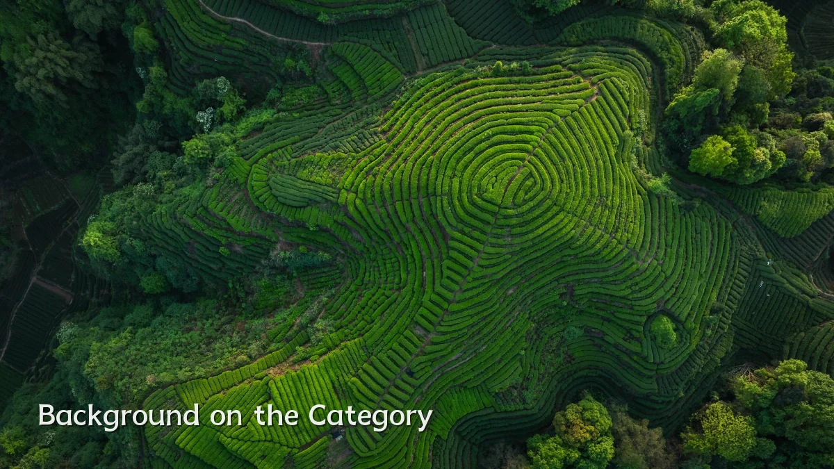 Background on the Category