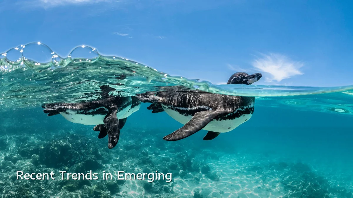 Recent Trends in Emerging