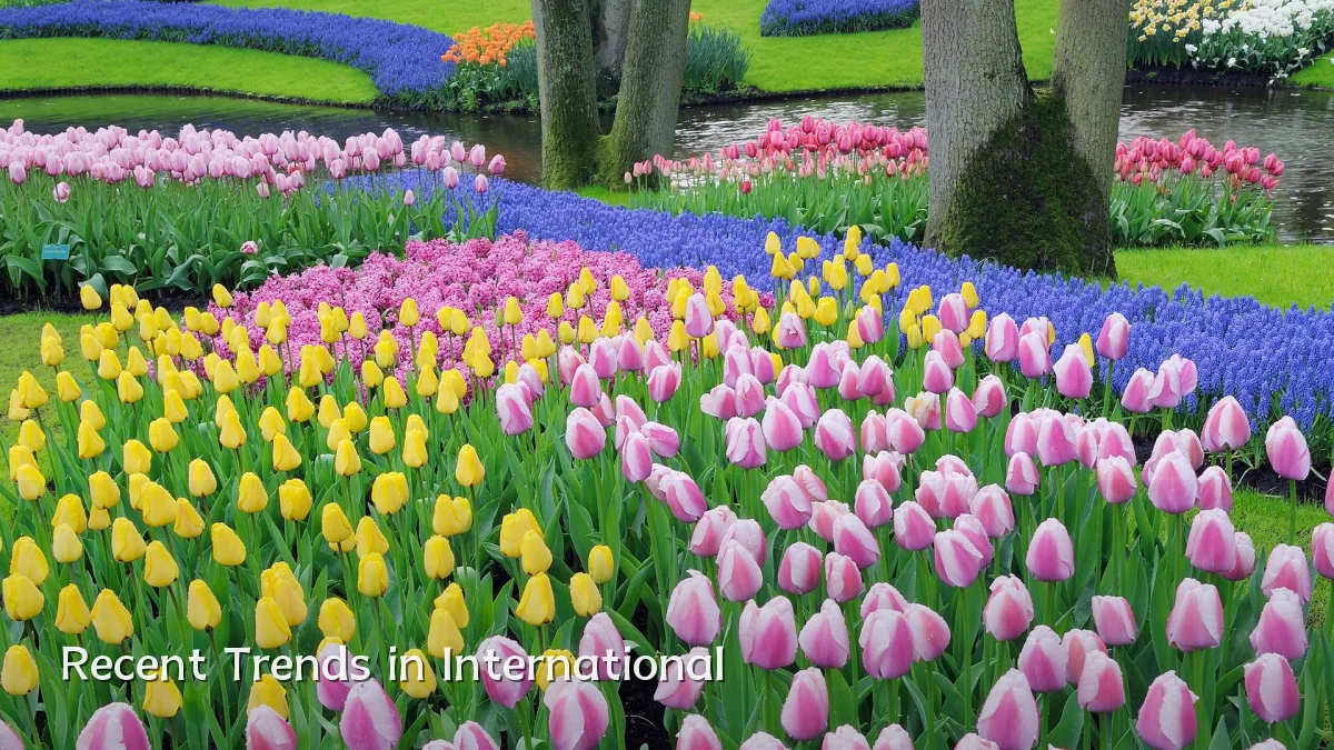 Recent Trends in International