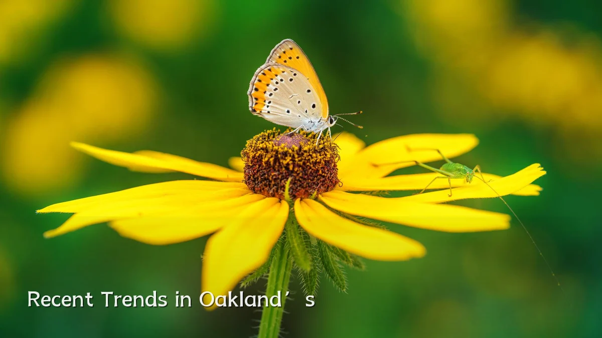 Recent Trends in Oakland’s