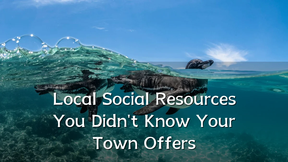 Local Social Resources You Didn't Know Your Town Offers