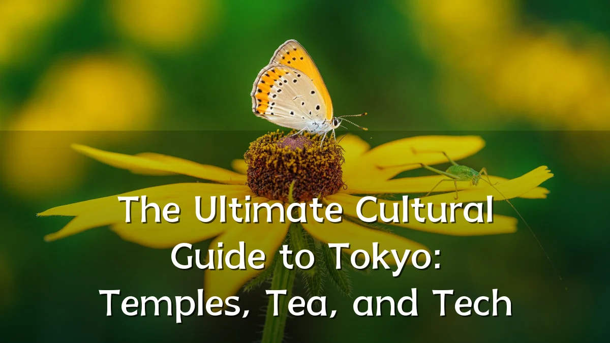 The Ultimate Cultural Guide to Tokyo: Temples, Tea, and Tech