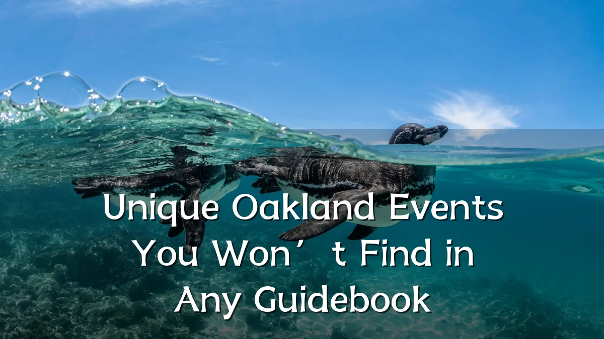 Unique Oakland Events You Won’t Find in Any Guidebook