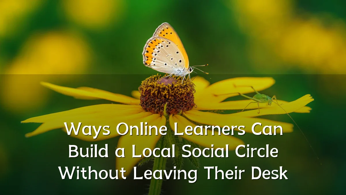 Ways Online Learners Can Build a Local Social Circle Without Leaving Their Desk