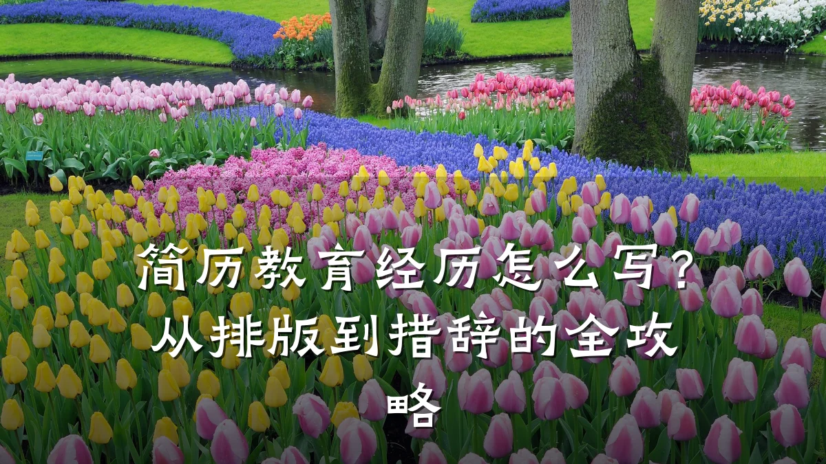 简历教育经历怎么写？从排版到措辞的全攻略